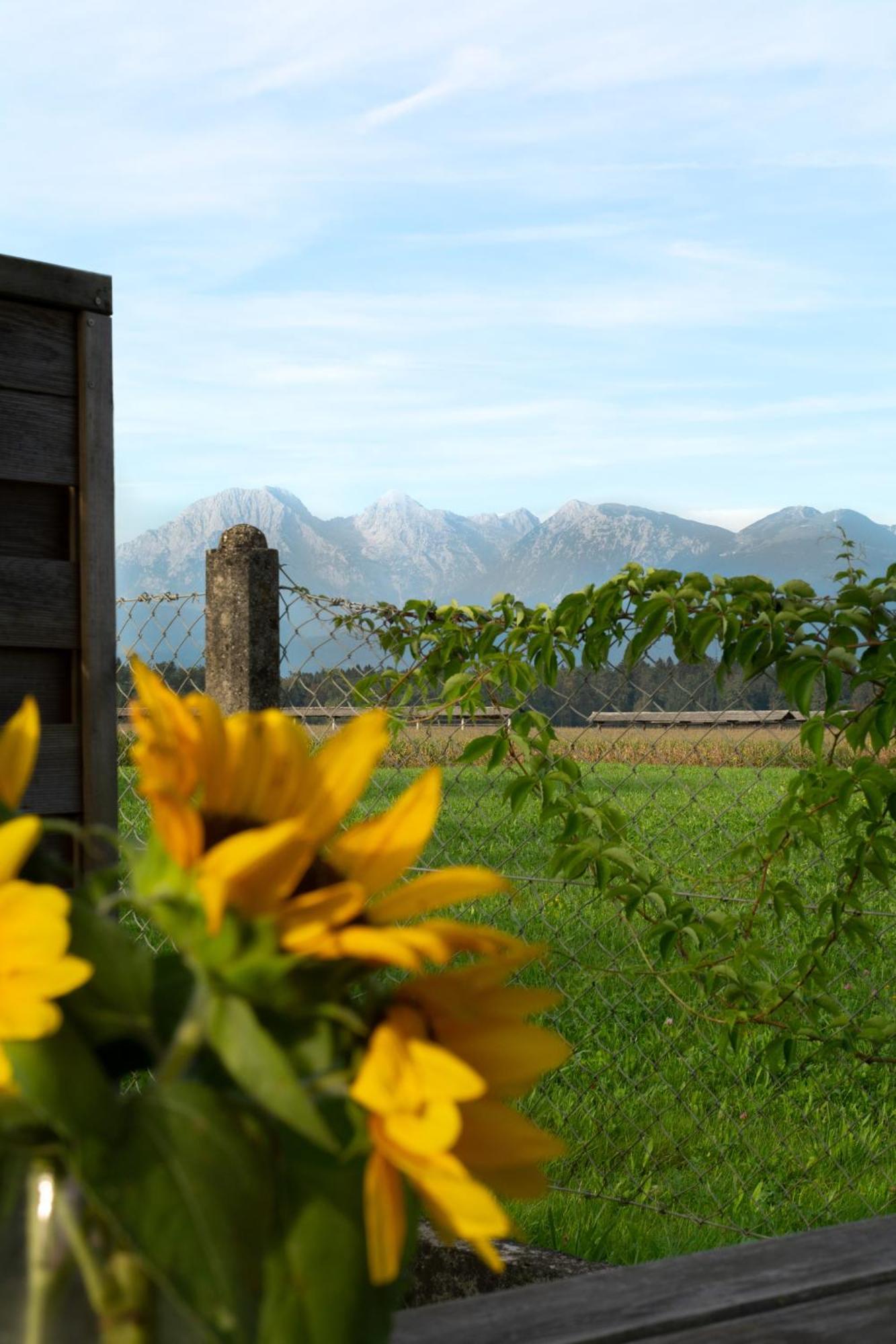 Villa Glamping With A View Smlednik Esterno foto